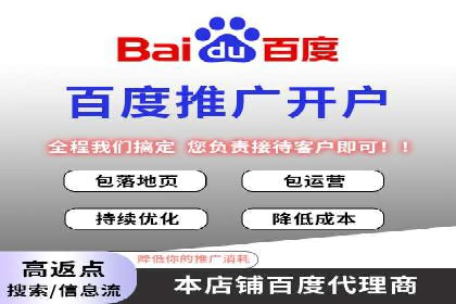 SEO策略在电商平台的成功应用案例